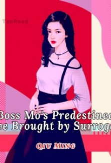 Предначертанная любовь Босс Мо, рожденная суррогатным материнством
