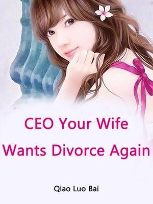 Генеральный директор, ваша жена снова хочет развода